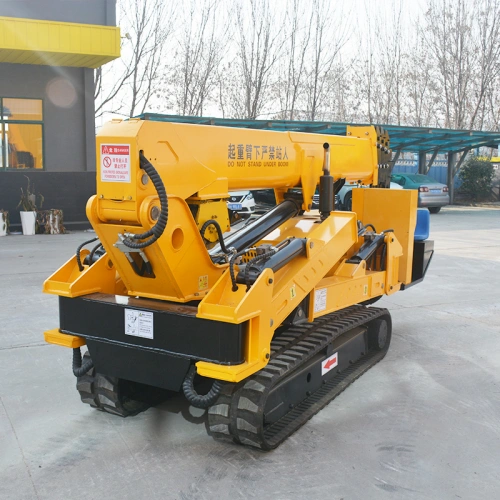mini crawler crane
